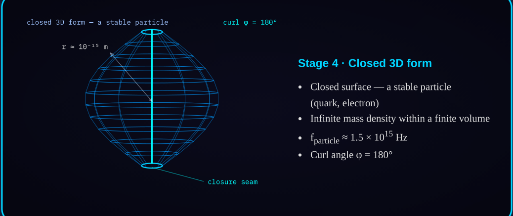 Diagram 4d — Closed 3D form: convergence complete, the seam is where the 2D field closes on itself.