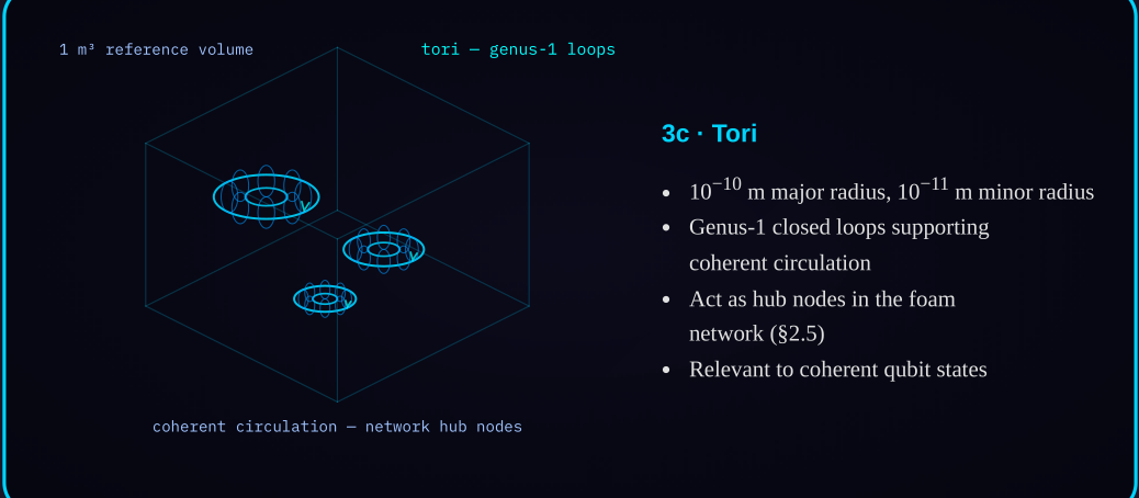 Diagram 3c — Quantum foam structure: genus-1 tori acting as network hub nodes.